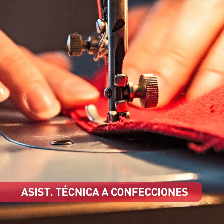 Asistencia Tecnica